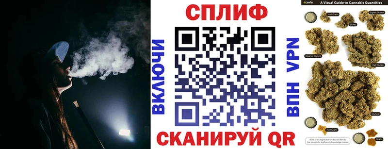 сколько стоит  Калининец  MEGA вход  Каннабис тримм 